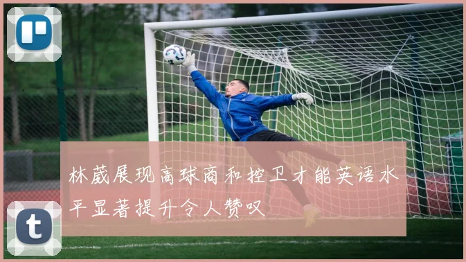 林葳展现高球商和控卫才能英语水平显著提升令人赞叹