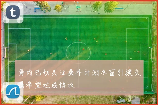 费内巴切关注桑乔计划冬窗引援交易希望达成协议